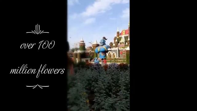 Невероятные приключения в Дубае 2021/2022. Часть 2 "Парк цветов в Дубае (Dubai Miracle Garden)" смотреть онлайн