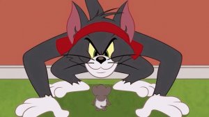 Том и Джерри каратэ