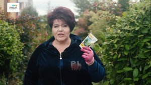 Дождевание хвойных: как правильно делать?