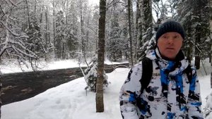 Линдуловская роща зимой