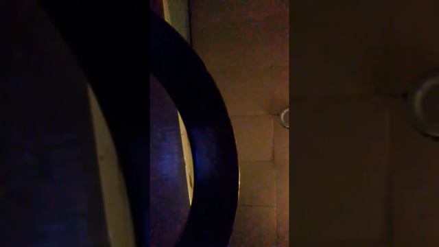 stupid rocky смотреть онлайн