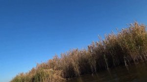Сели на мель. Охота на утку в дельте Волги. Варим Шулюм из утки. Красоты природы дельты.