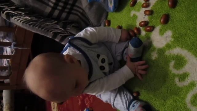 орешки и жёлуди смотреть онлайн