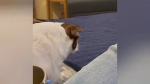 Mr.Bubz And The Macaroni Bowl