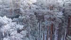 Лучшая классическая музыка для зимы - Моцарт, Шопен, Чайковский, Россини, Бах, Бетховен.