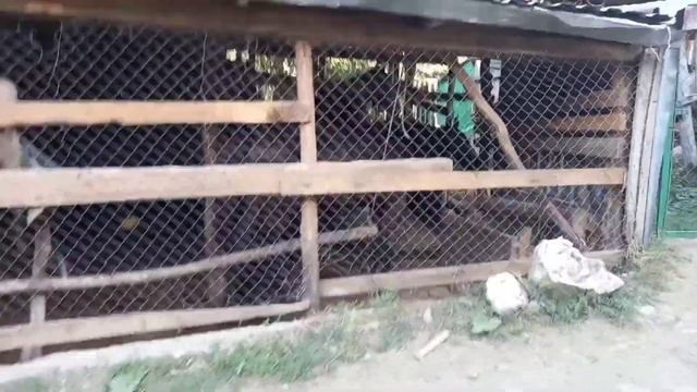 В поисках лавандового поля. Крым. п. Лаванда и п.Лучистое