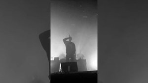 macan без названия