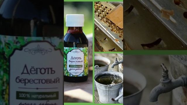 Деготь березовый 100мл listok. Биотехсоюз деготь. Берестин деготь березовый 20мл. Применение дегтя березового в саду. Применение дегтя березового в саду.