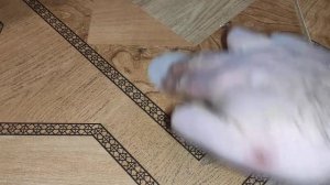 Удаление двухкомпонентного клея с любой поверхности с помощью Димексида. Просто, дёшево, доступно.