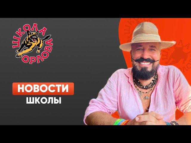 Что происходит в «Школе Орлова»?
