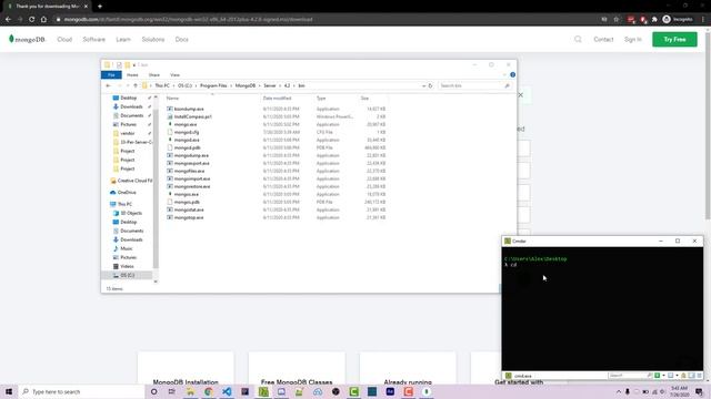 MongoDB In NodeJS - Hosting A Local Database (2020) [Episode #1]