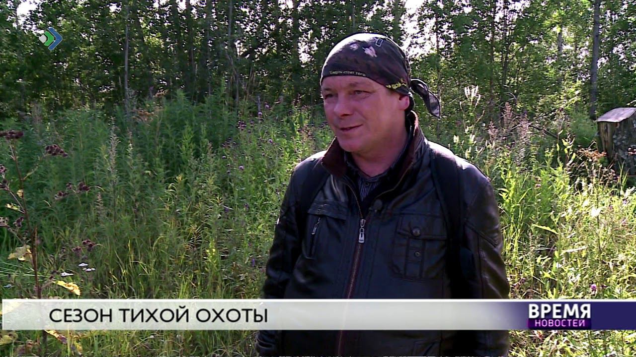 Сезон тихой охоты