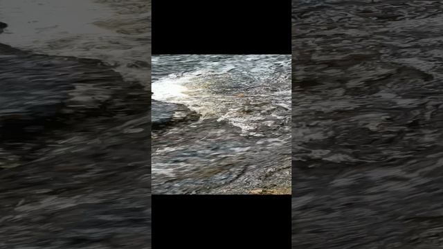РУЧЕЙ. МАЙ. ЖИЗНЬ. РЕЛАКС.