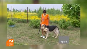 Четыре танкиста и восточно-европейская овчарка