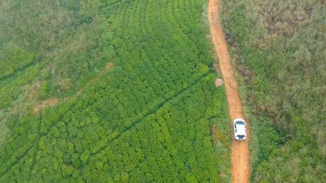 Kallebokka 360* View Point by Micro Panda Cross смотреть онлайн