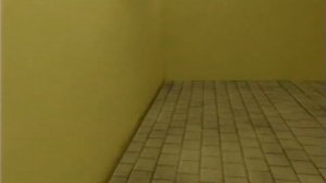 Backrooms - The Garden (Level 150 found footage)