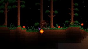 ПОЛНОЕ ПРОХОЖДЕНИЕ ТЕРРАРИИ ЗА ИСТИННОГО ПРИЗЫВАТЕЛЯ! СХЕМА ИГРЫ ЗА ПРИЗЫВАТЕЛЯ