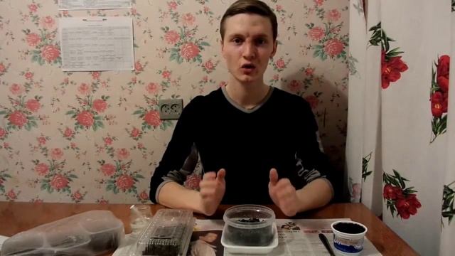 рассада клубники из семян пикировка смотреть онлайн