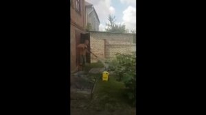 Стирка ковров ⧸ паласов ⧸ дорожек с Кёрхер (Кёршер) в домашних условиях