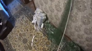 ПОСАДКА РЫБОЛОВНЫХ СЕТЕЙ КАПРОН - 45 х 45