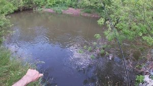 Ловим голавля на маленькой реке. Первая рыбалка на спиннинг с воблерами этого года.