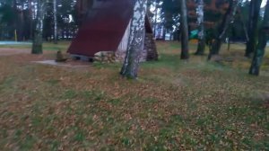 Санаторий Берестье, Брест  Еду отдохнуть Цена от 1000 р за сутки