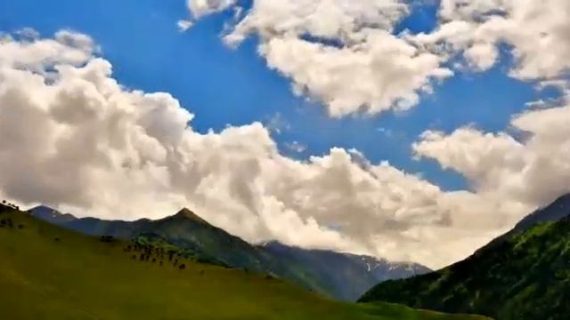 Стих поэзии манкиев хамбор