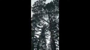 ЛУНА - Расстояния