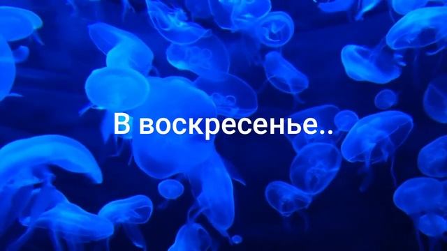 Кто понял жизнь стихотворение Омар Хайям смотреть онлайн