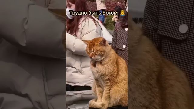 Трудно быть Богом