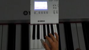 обзор YAMAHA DGX-660