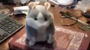 Говорящий Хомяк Хомяк Мышка - повторяк