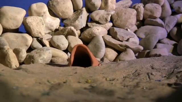 Bug Invaders Part 1 - Animation-Stop Motion - B2 смотреть онлайн