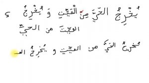 Сильсиля 1. Письмо. Урок 5: "Буквы Джим ج, Са [tha] ث". Арабский алфавит. Муса ибн Асакир.
