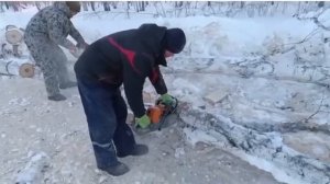 За что любят бензопилы ZimAni?! Бензопила ZimAni 372XP PRO это ТОП!!!