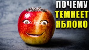 Почему темнеет яблоко?