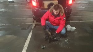 мазда 6gh  спупичный подшипник,и его последствия