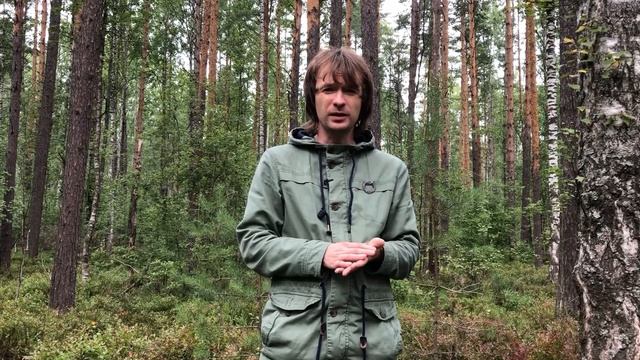 Друиды в 21-м веке. Традиция умерла? смотреть онлайн