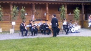 военный морской оркестр выступает в парке