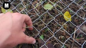 Как быстро построить забор из сетки