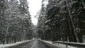 Заснеженный лес парка "Швейцария", Вильнюс
