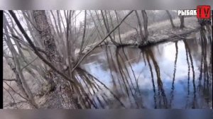 Ловля форели в Ленинградской области. Разведка одного места.