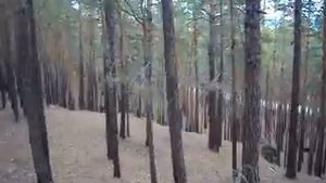 Казахстан, Кокчетавская обл.