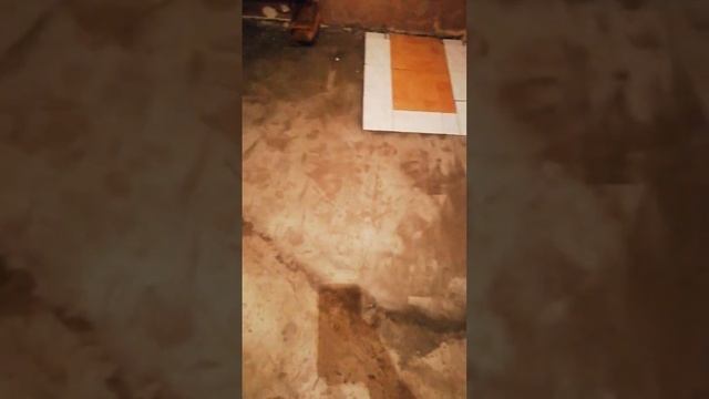 цементная стяжка на деревянный пол. все высозло начинаем укладку ленолеума. пол на даче смотреть онлайн