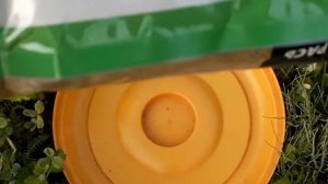 Тест прикормки Takedo "карась ваниль чеснок".  Ловля карася на пруду. Оснастка матч.