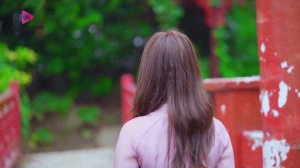 491 The Music Box Bolero Viet Nam - Bolero Viet Nam Is The Best - The Perfect Bolero VietNam