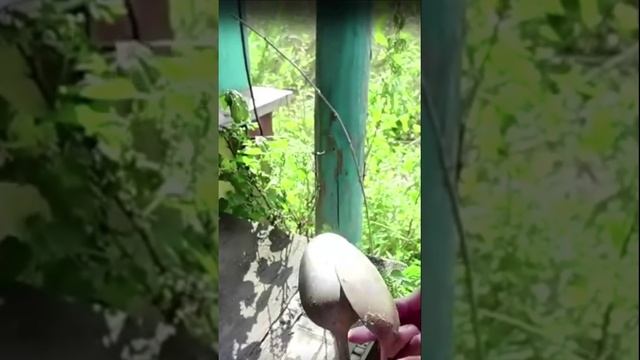 ФАМИЛЬНЫЙ СЕРВИЗ