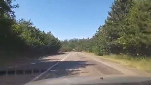 Развилка на Ялту через Мангуш дорога на Мелекино Белосарайская Коса