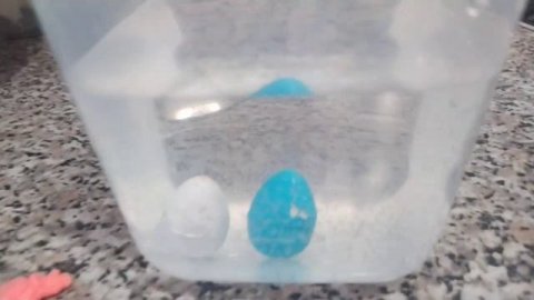 Вылупились динозаврики .