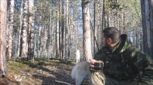 Промысел 2022-2023./Прокладываю новый путик.